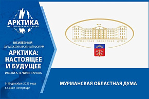 Энергетика для развития: Мурманская область поделится опытом по энергообеспечению инвестпроектов Арктики
